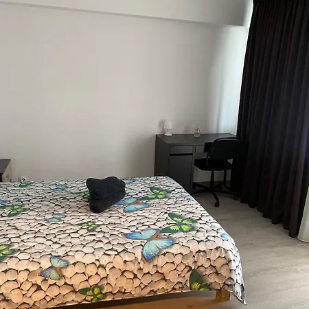 Dragut Si Spatios In Centrul Orasului - Parcare Gratuita Bukarest