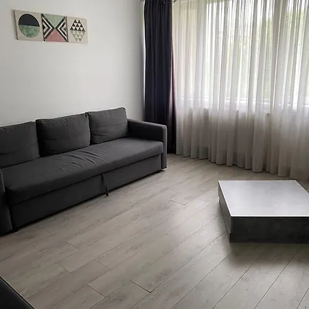 Dragut Si Spatios In Centrul Orasului - Parcare Gratuita